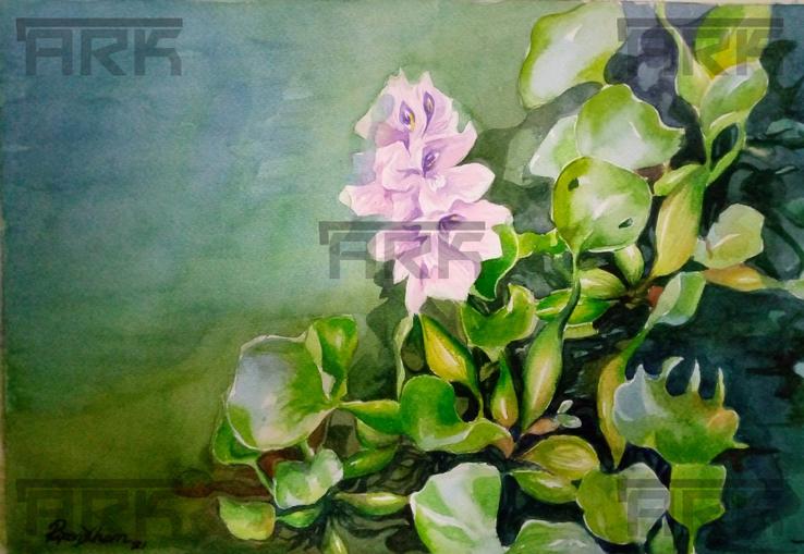 Water Hyacinth Flower