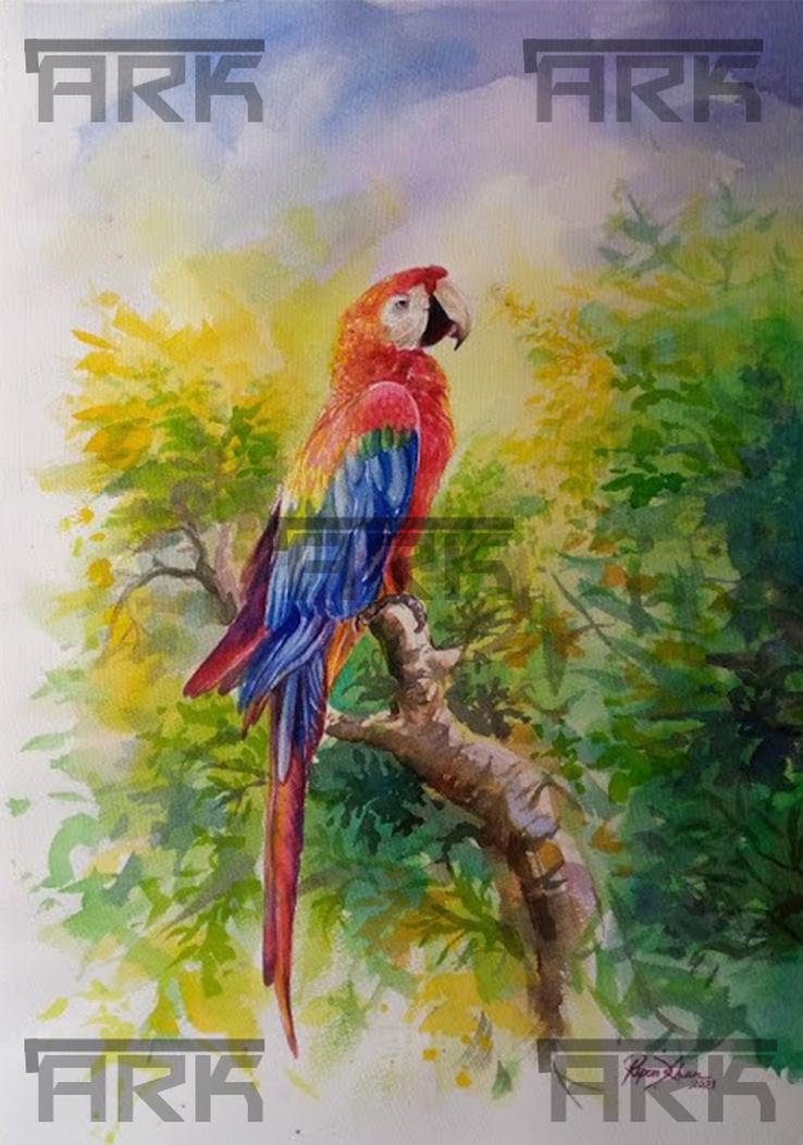 Scarlet Macaw 